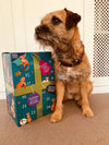 Christmas Advent Calendar with Gibsons Games Office Dog Nora.