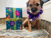Merry Mischief Advent Calendar featuring Gibsons Office Dog.