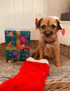 Jigsaw Advent Calendar for Christmas featuring office dog.